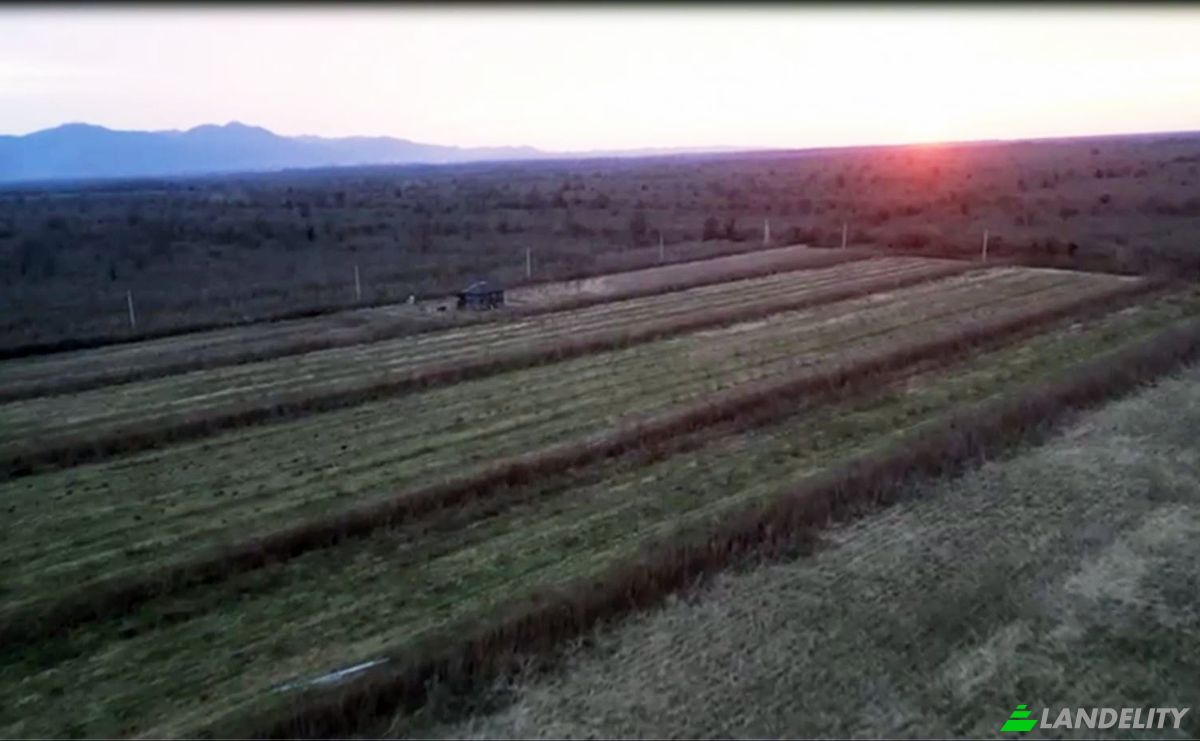 Lote de terreno En renta Abasha-Gaghma Kodori-Guleiskiri-Japana, Nigoiti, Lanchkhuti Municipality, Guria, Georgia. Foto 3