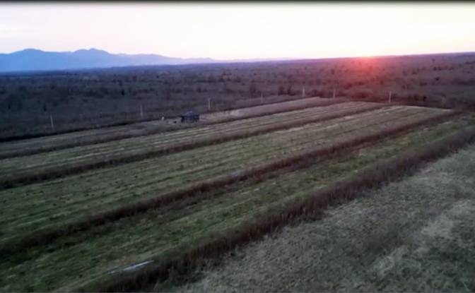 Lote de terreno En renta Abasha-Gaghma. Foto#3