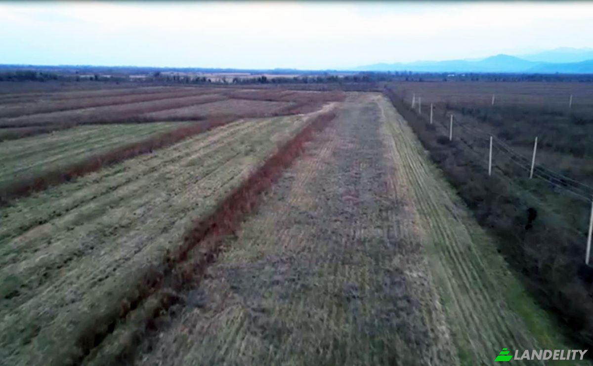Lote de terreno En renta Abasha-Gaghma Kodori-Guleiskiri-Japana, Nigoiti, Lanchkhuti Municipality, Guria, Georgia. Foto 1