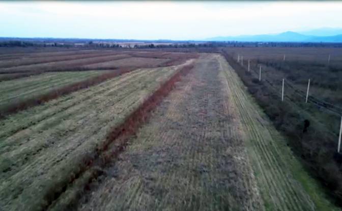 Lote de terreno Alquileres - Nigoiti, Georgia