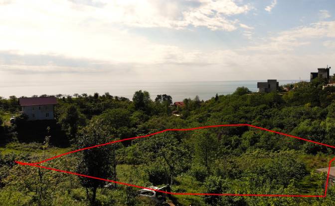 Land Lot for Sale Chakva, Chakvi. Photo#2 Land Lot for Sale Chakva, Chakvi. Photo#2