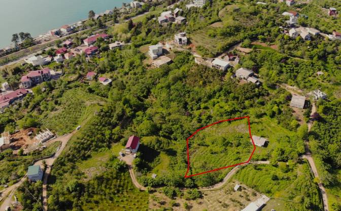 Land Lot for Sale Chakva, Chakvi. Photo#3 Land Lot for Sale Chakva, Chakvi. Photo#3