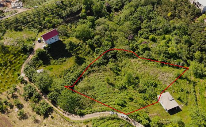 Land Lot for Sale Chakva, Chakvi. Photo#4 Land Lot for Sale Chakva, Chakvi. Photo#4