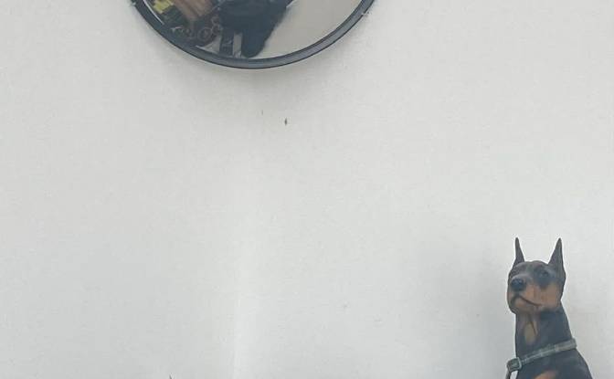 Duplex for Sale Budapest, Hungary, Abaujvar u 22. Photo#13 Duplex for Sale Budapest, Hungary, Abaujvar u 22. Photo#13