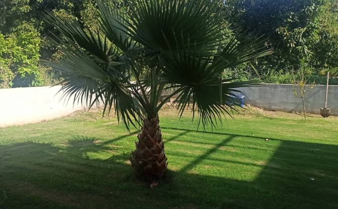 Eengezinswoning Te koop EparOd Alikianou-Skonizou. Foto#9