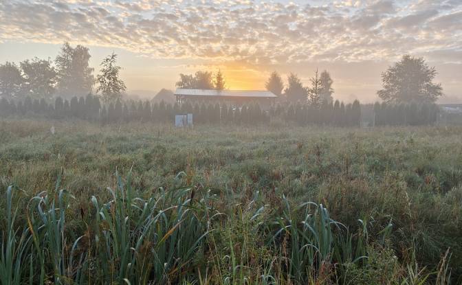 Mansion for Sale - Debki, Poland