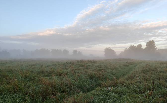 Mansion for Sale Droga Bez Nazwy, Debki. Photo#11 Mansion for Sale Droga Bez Nazwy, Debki. Photo#11