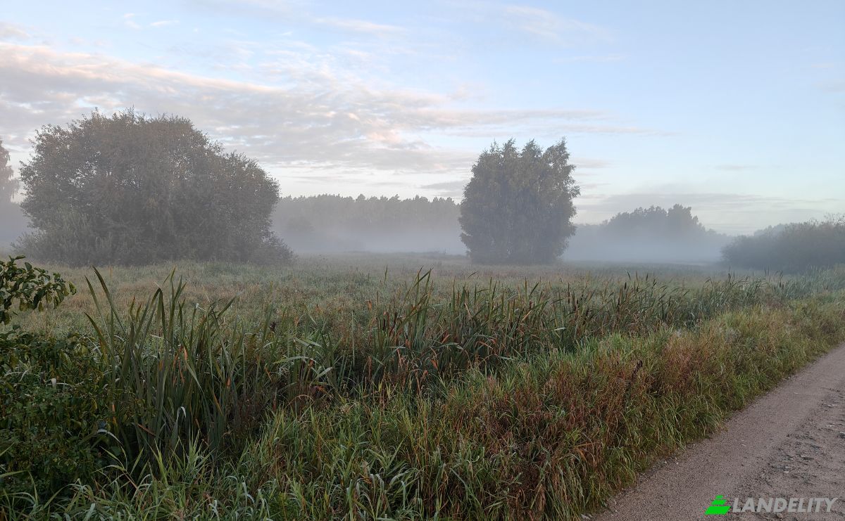 Mansion for Sale Droga Bez Nazwy, Debki, Puck County, Pomeranian Voivodeship, Poland. Photo 14