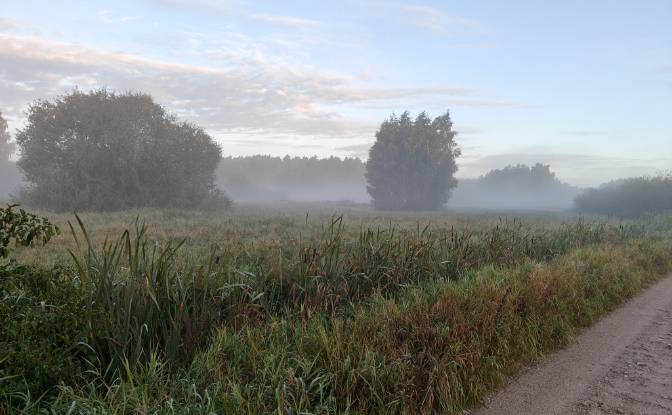 Mansion for Sale Droga Bez Nazwy, Debki. Photo#14 Mansion for Sale Droga Bez Nazwy, Debki. Photo#14