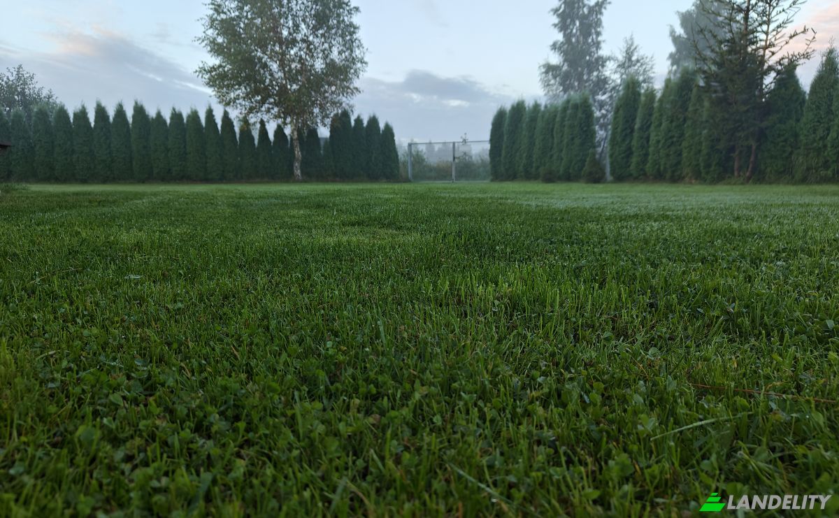 Mansion for Sale Droga Bez Nazwy, Debki, Puck County, Pomeranian Voivodeship, Poland. Photo 5