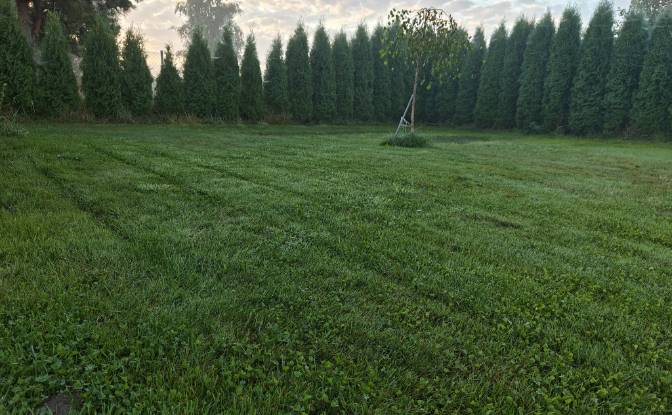 Mansion for Sale Droga Bez Nazwy, Debki. Photo#6 Mansion for Sale Droga Bez Nazwy, Debki. Photo#6