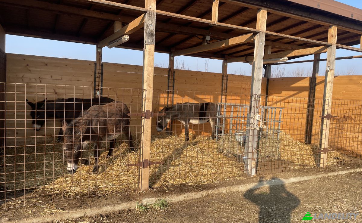 Farm/Ranch for Sale Localita Castellina, 254, 29011 Borgonovo Val Tidone PC, Borgonovo Val Tidone, Province of Piacenza, Emilia-Romagna, Italy. Photo 6