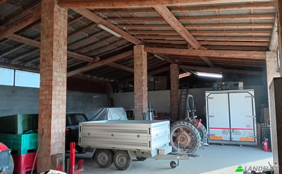 Farm/Ranch for Sale Localita Castellina, 254, 29011 Borgonovo Val Tidone PC, Borgonovo Val Tidone, Province of Piacenza, Emilia-Romagna, Italy. Photo 5