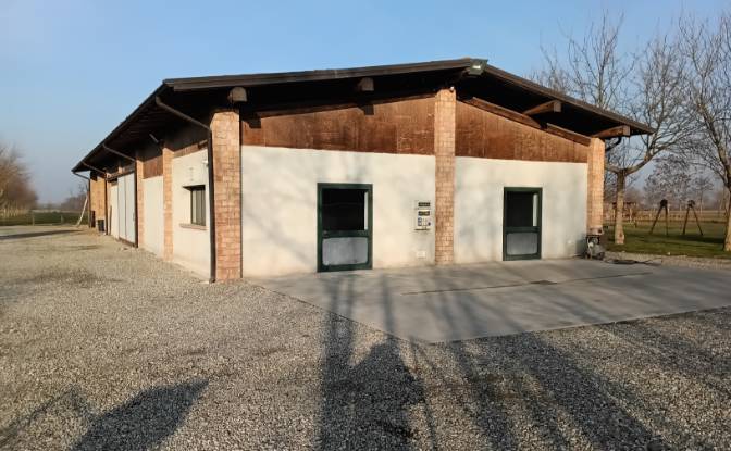 Farm/Ranch for Sale Localita Castellina, 254. Photo#4