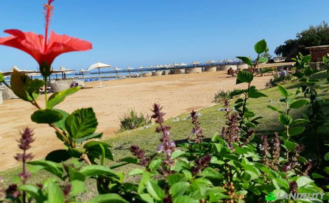 Apartment for Sale 1981735, Hurghada. Photo#7 Apartment for Sale 1981735, Hurghada. Photo#7