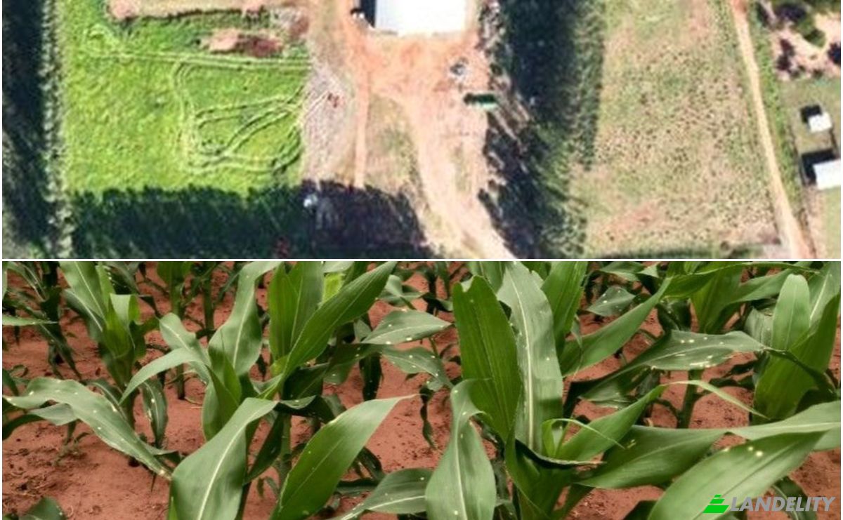 Investing/Development for Sale Via Sin Nombre, 021816, Asent Kurupayty, Santa Rosa del Aguaray, San Pedro Department, Paraguay. Photo 1