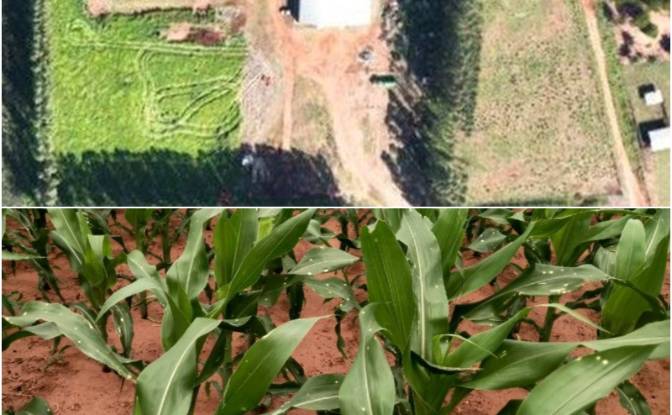 Investissement/Développement à vendre - Asent Kurupayty, Paraguay