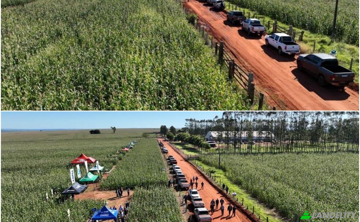Investing/Development for Sale Via Sin Nombre, 021816, Asent Kurupayty, Santa Rosa del Aguaray, San Pedro Department, Paraguay. Photo 2