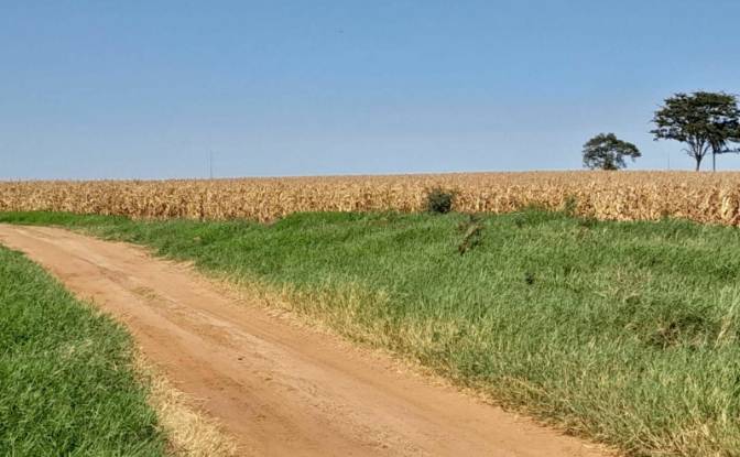 Fattoria/Ranch in vendita - San Agustin, Paraguay