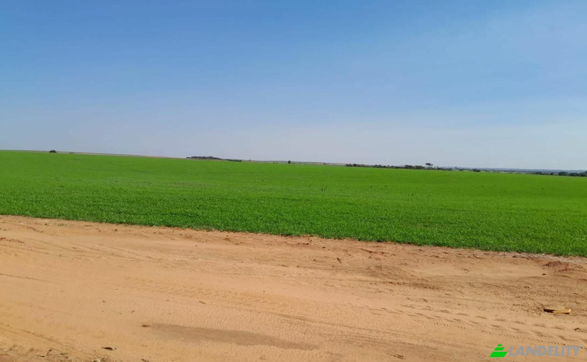 Farm/Ranch for Sale Via Sin Nombre, 051902, San Agustin, Simon Bolivar, Caaguazu Department, Paraguay. Photo 11