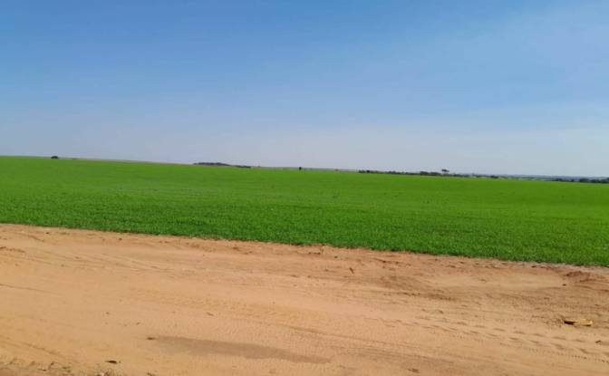 Farm/Ranch for Sale Via Sin Nombre, 051902. Photo#11