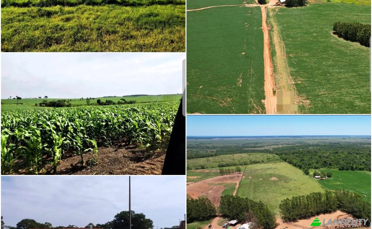 Farm/Ranch for Sale Via Sin Nombre, 051902, San Agustin, Simon Bolivar, Caaguazu Department, Paraguay. Photo 12