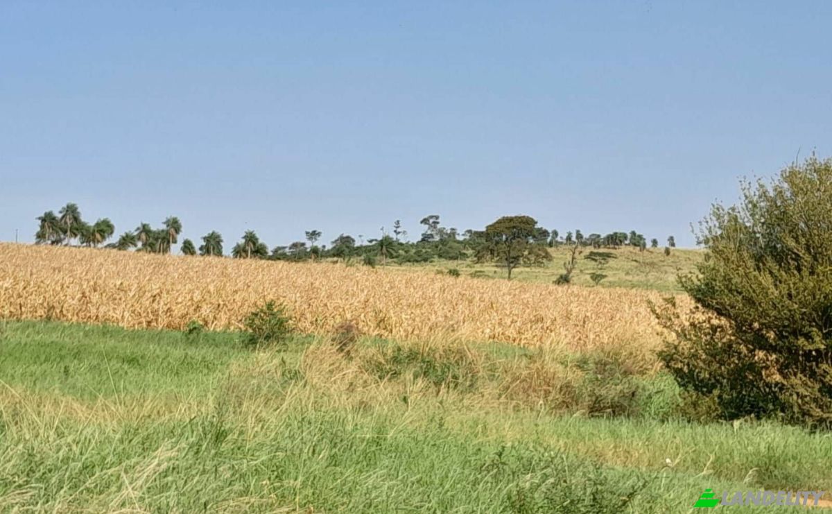 Farm/Ranch for Sale Via Sin Nombre, 051902, San Agustin, Simon Bolivar, Caaguazu Department, Paraguay. Photo 3