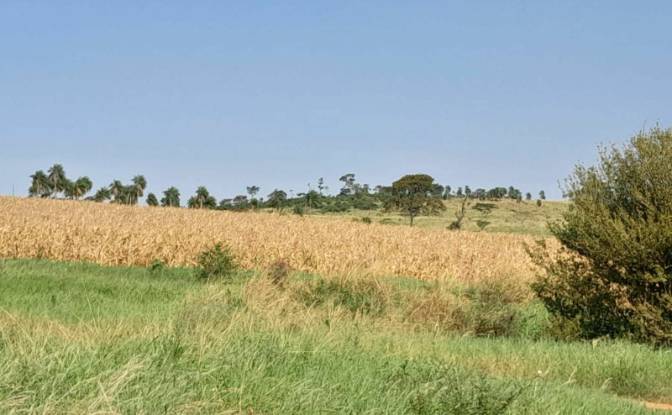 Farm/Ranch for Sale Via Sin Nombre, 051902. Photo#3