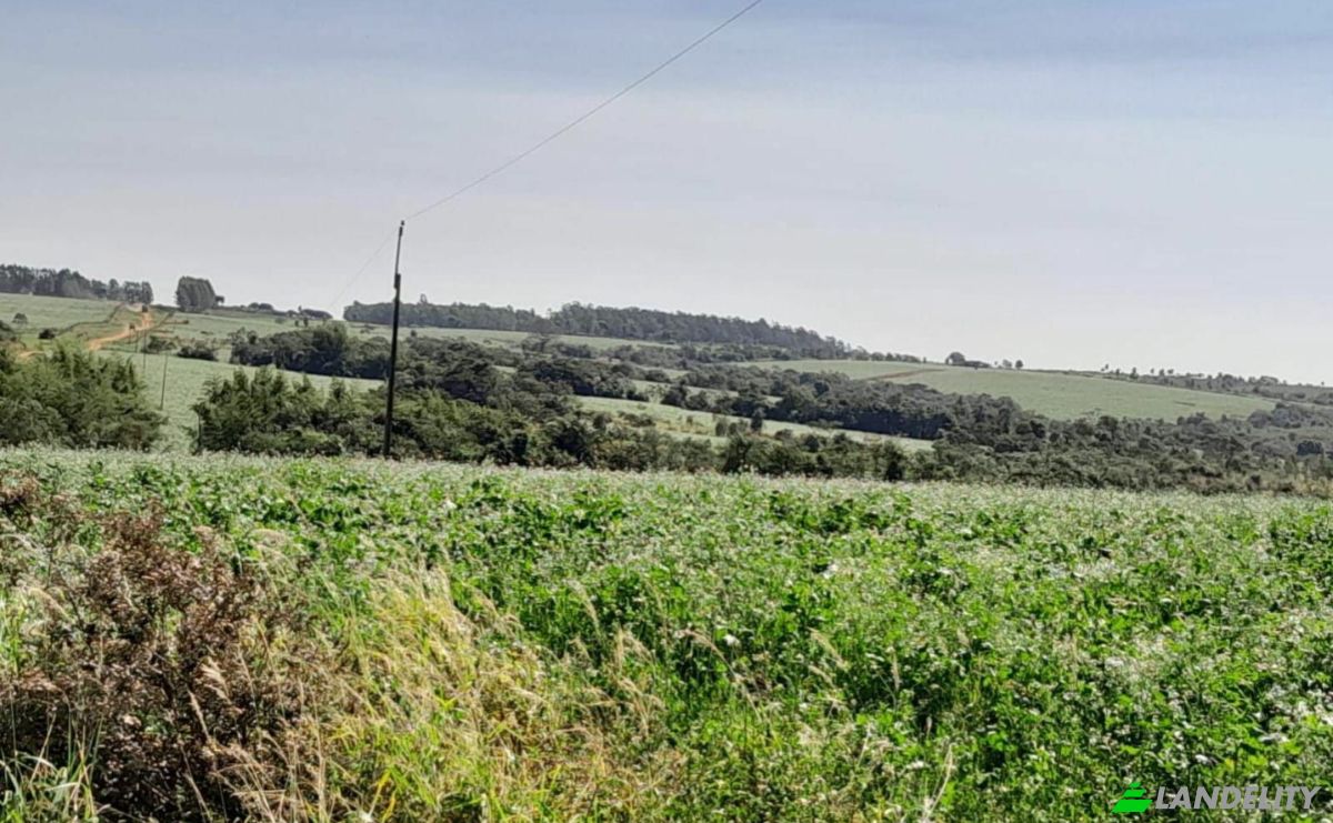 Farm/Ranch for Sale Via Sin Nombre, 051902, San Agustin, Simon Bolivar, Caaguazu Department, Paraguay. Photo 4
