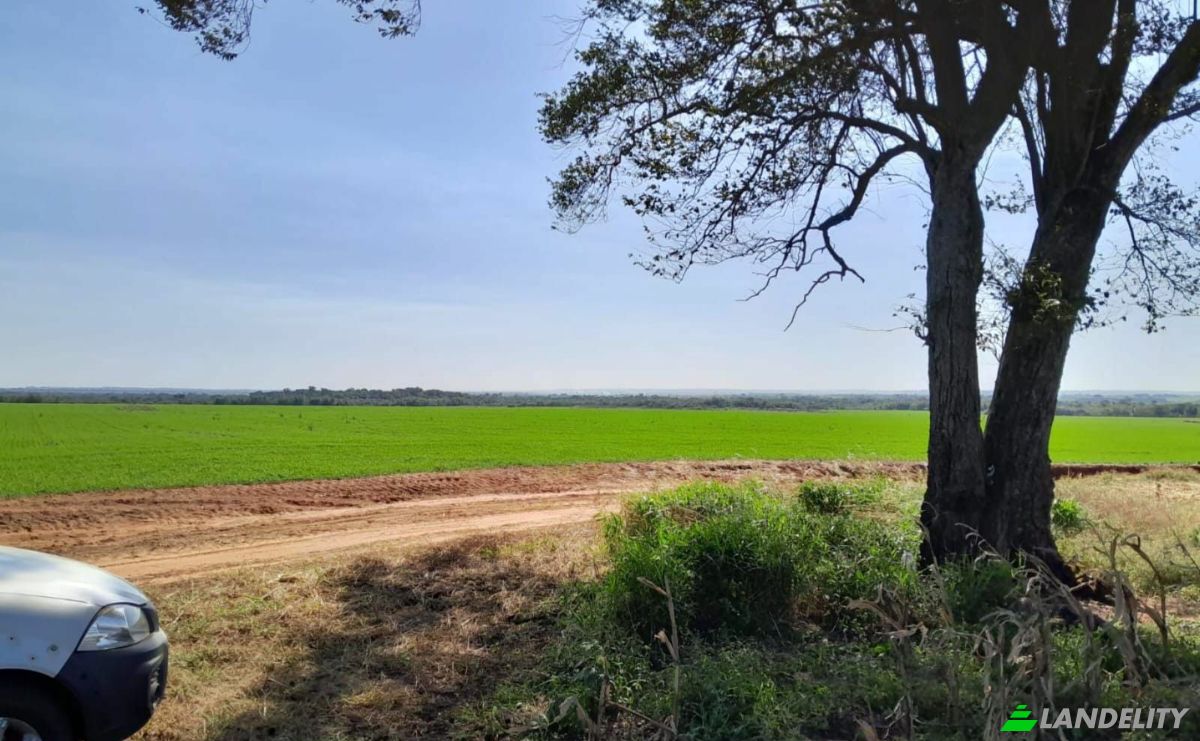 Farm/Ranch for Sale Via Sin Nombre, 051902, San Agustin, Simon Bolivar, Caaguazu Department, Paraguay. Photo 5