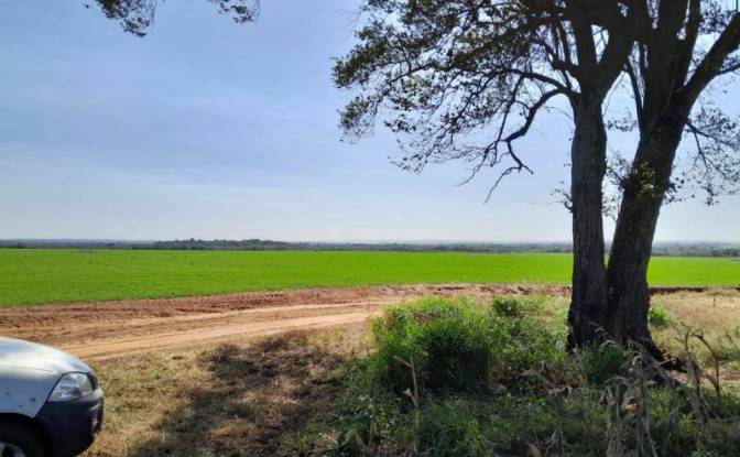 Farm/Ranch for Sale Via Sin Nombre, 051902. Photo#5