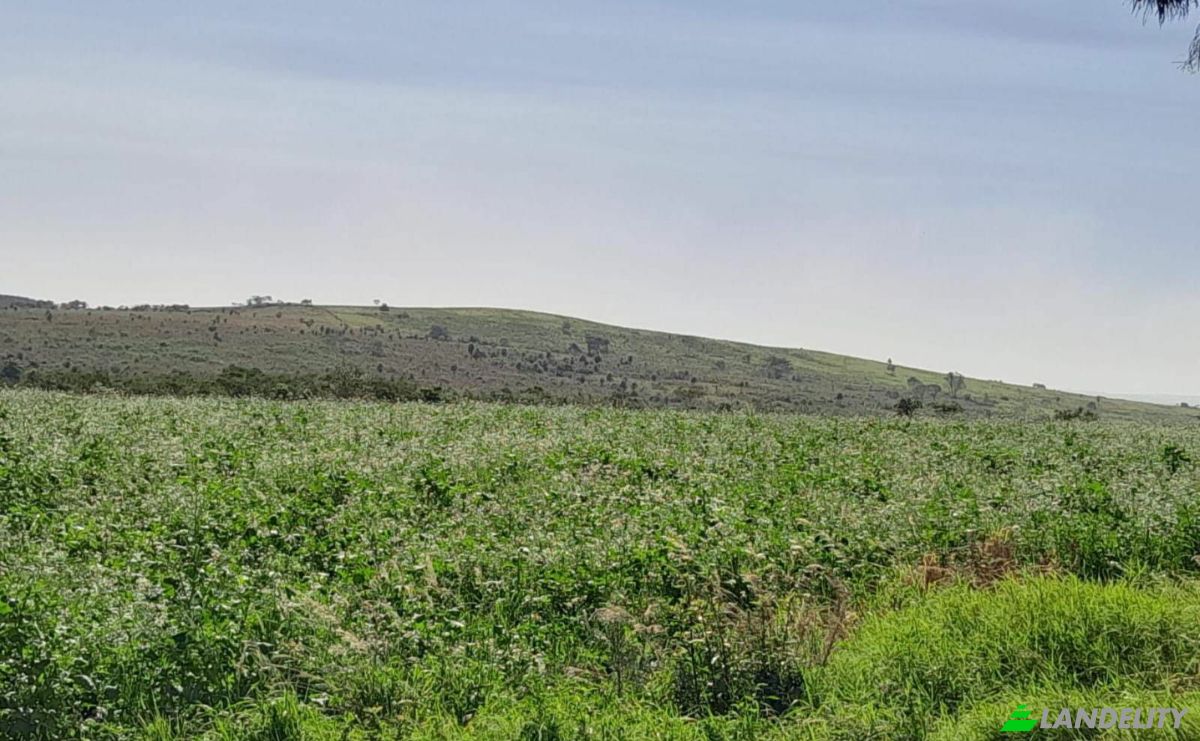 Farm/Ranch for Sale Via Sin Nombre, 051902, San Agustin, Simon Bolivar, Caaguazu Department, Paraguay. Photo 6