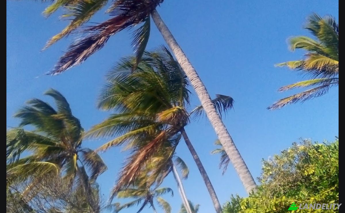 Investing/Development for Sale Jibondo, Kua, Mafia, Pwani Region, Tanzania. Photo 10