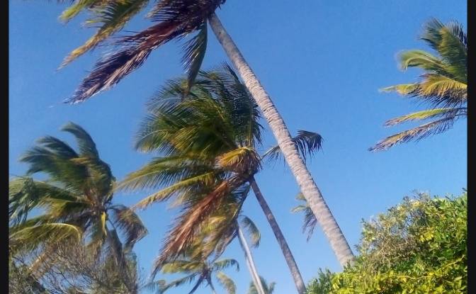 Investing/Development for Sale Jibondo, Kua, Mafia. Photo#10 Investing/Development for Sale Jibondo, Kua, Mafia. Photo#10