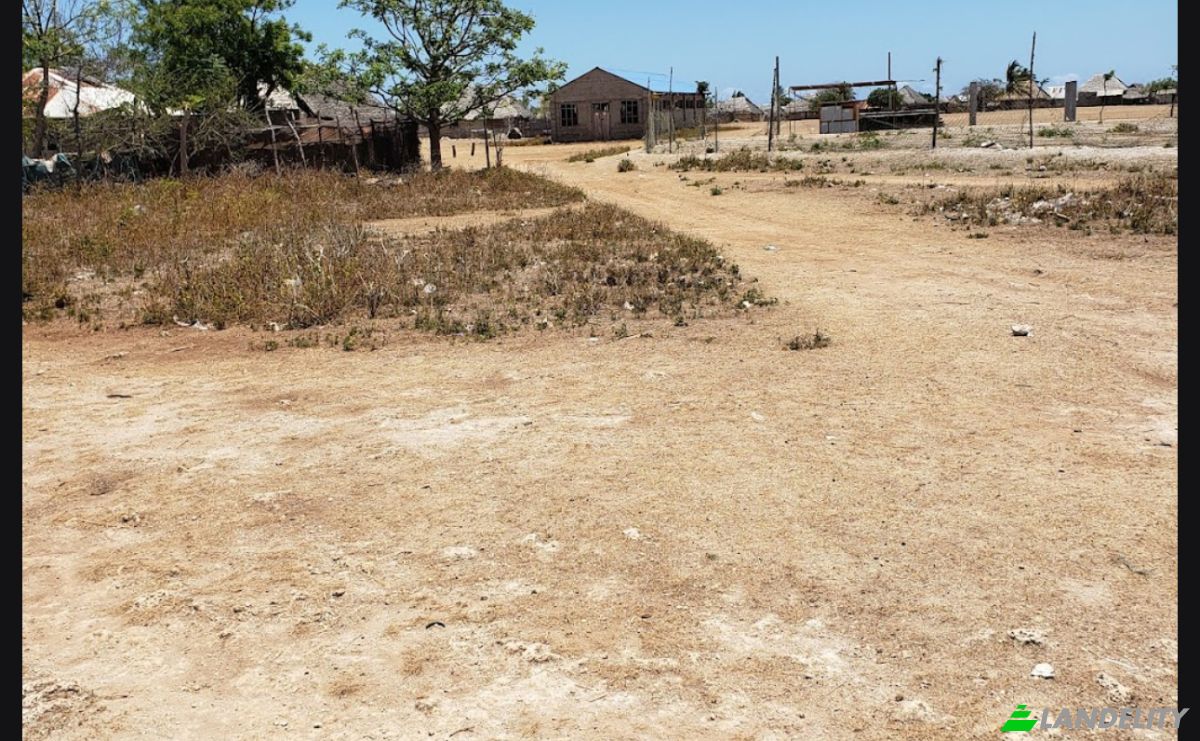 Investing/Development for Sale Jibondo, Kua, Mafia, Pwani Region, Tanzania. Photo 11