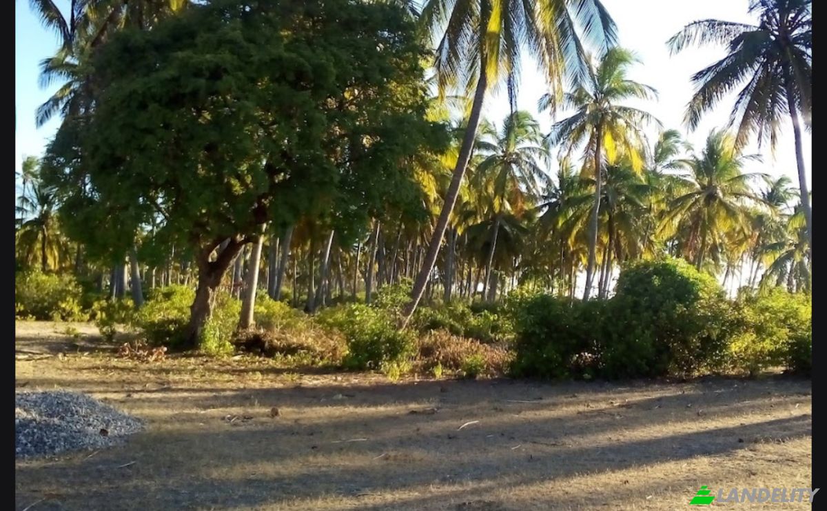 Investing/Development for Sale Jibondo, Kua, Mafia, Pwani Region, Tanzania. Photo 6