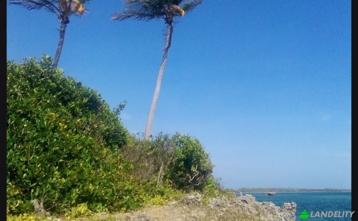 Investing/Development for Sale Jibondo, Kua, Mafia, Pwani Region, Tanzania. Photo 7