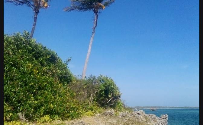 Investing/Development for Sale Jibondo, Kua, Mafia. Photo#7 Investing/Development for Sale Jibondo, Kua, Mafia. Photo#7