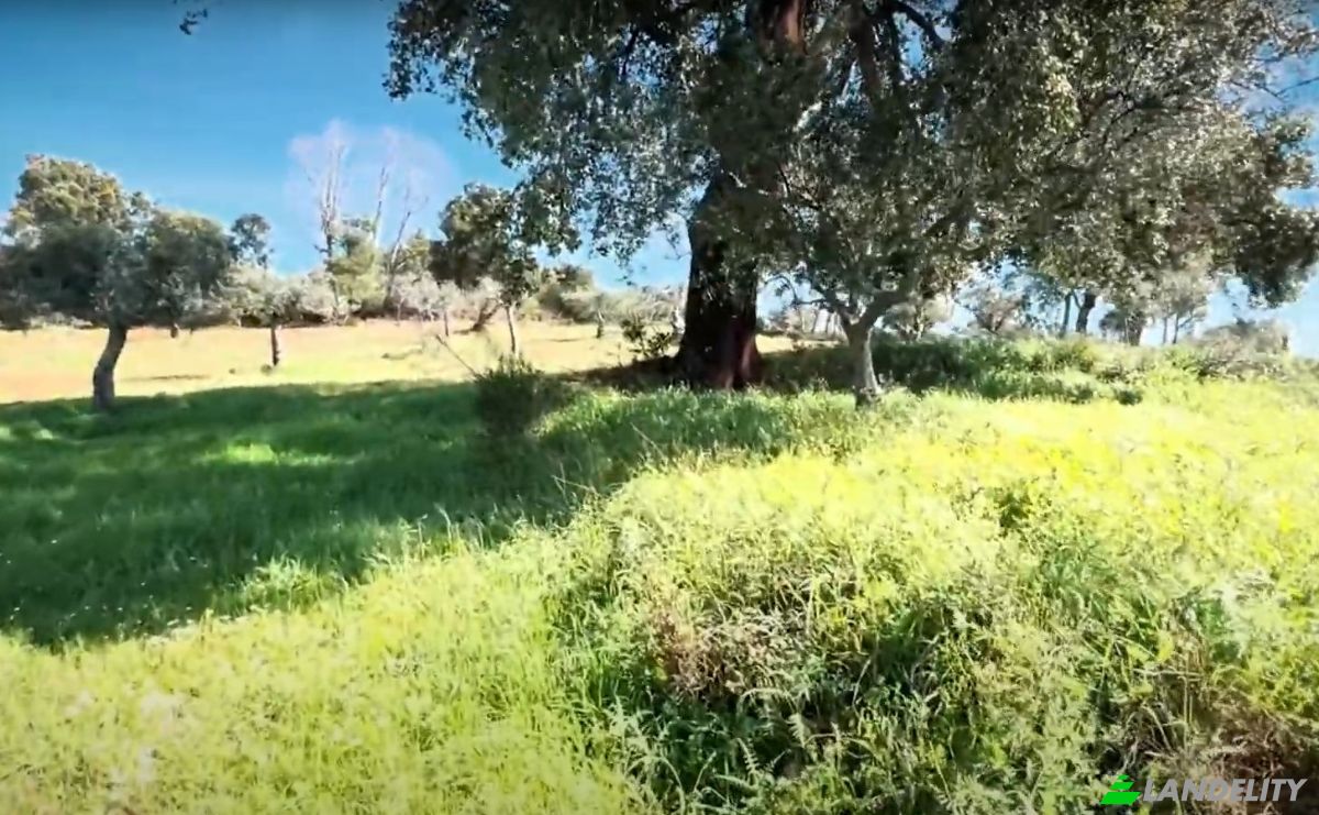 Farm/Ranch for Sale N345 75, 6230, Capinha, Fundao, Castelo Branco District, Portugal. Photo 1