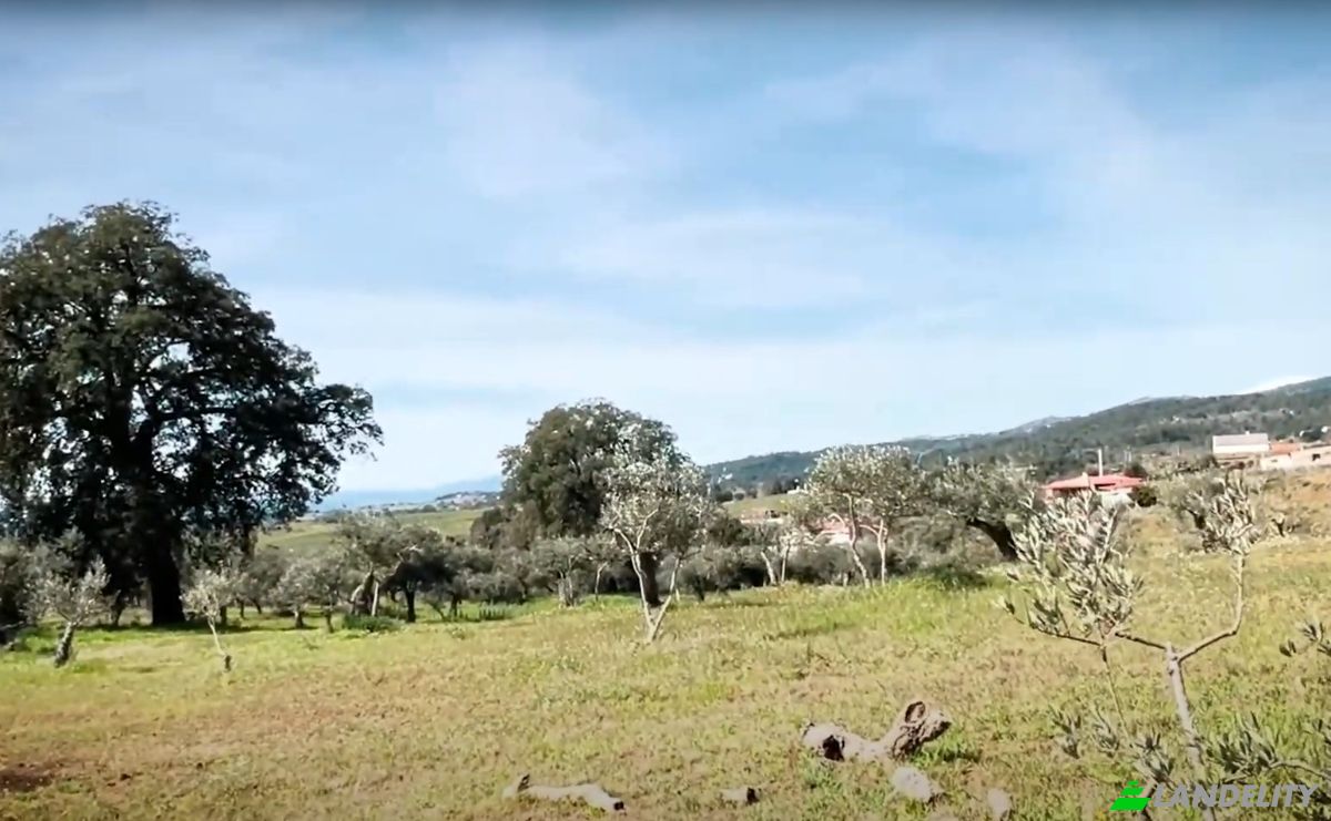 Farm/Ranch for Sale N345 75, 6230, Capinha, Fundao, Castelo Branco District, Portugal. Photo 2