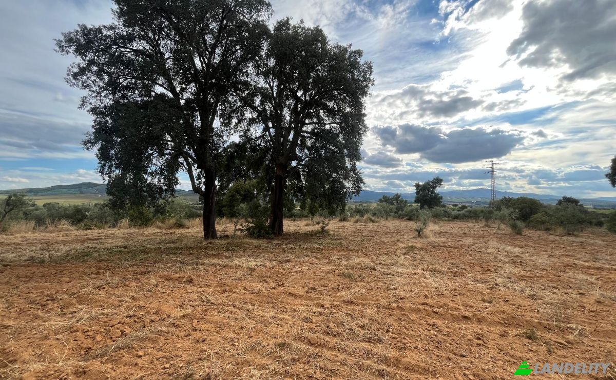 Farm/Ranch for Sale N345 75, 6230, Capinha, Fundao, Castelo Branco District, Portugal. Photo 5
