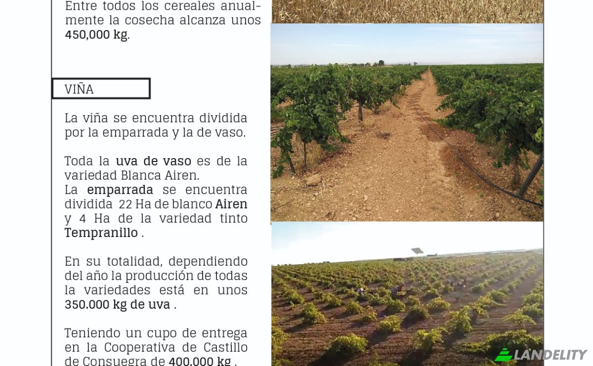 Investing/Development for Sale Via Sin Nombre, Consuegra, Toledo, Castile-La Mancha, Spain. Photo 3