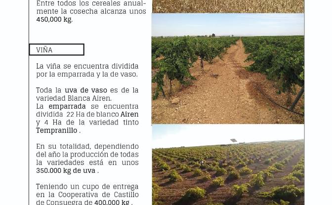 Investing/Development for Sale Via Sin Nombre. Photo#3 Investing/Development for Sale Via Sin Nombre. Photo#3