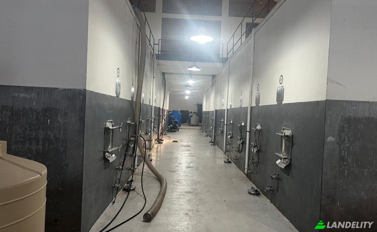 Commercial Building for Sale Callejon Lemos, Mendoza, Medrano, Junin Department, Mendoza Province, Argentina. Photo 1