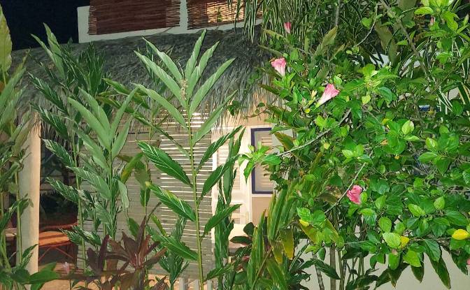 Hotel for Sale Benelux 1, Las Terrenas 32200. Photo#11