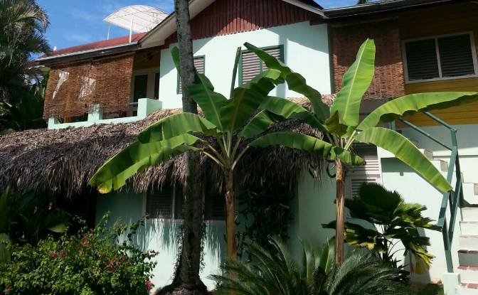 Hotel for Sale Benelux 1, Las Terrenas 32200. Photo#4