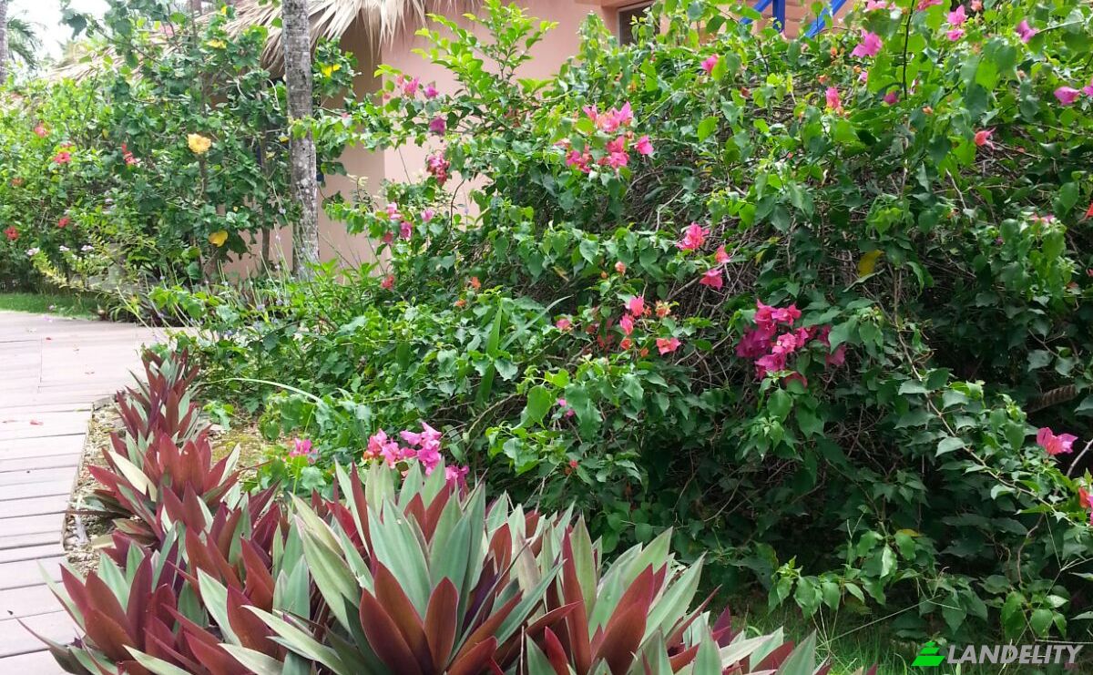 Hotel for Sale Benelux 1, Las Terrenas 32200, Las Terrenas, Samana Province, Dominican Republic. Photo 14