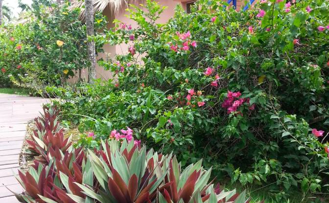 Hotel for Sale Benelux 1, Las Terrenas 32200. Photo#14