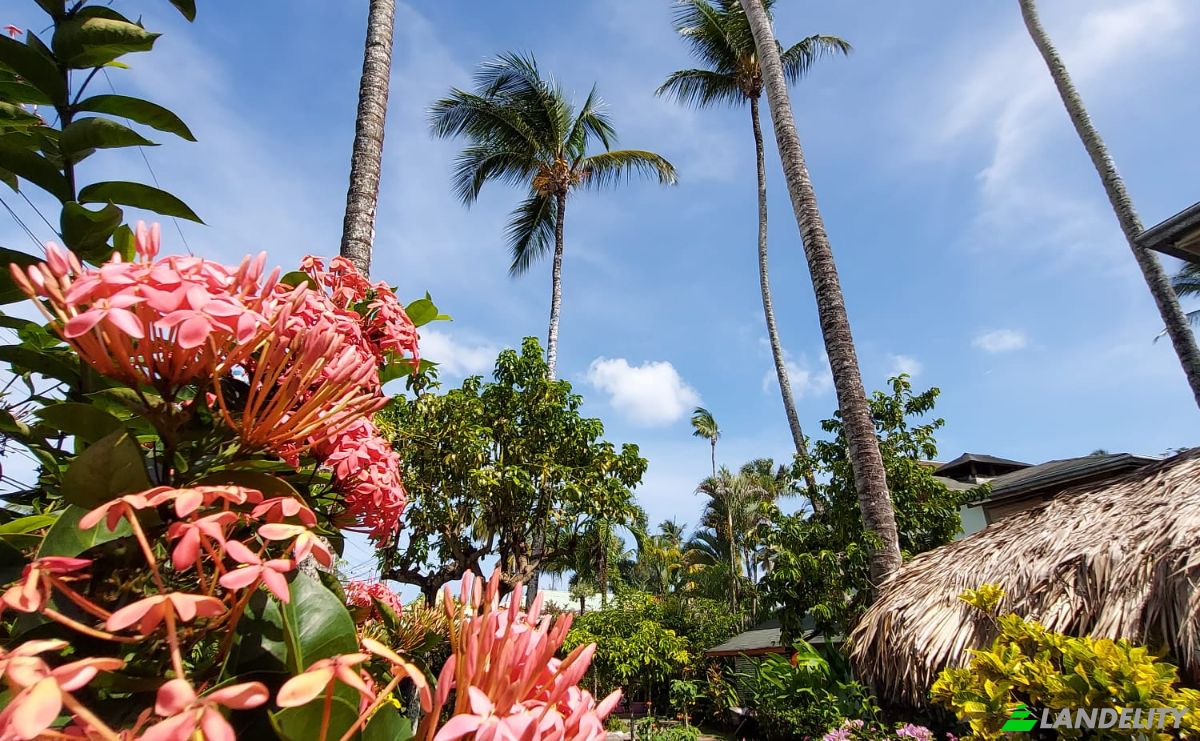 Hotel for Sale Benelux 1, Las Terrenas 32200, Las Terrenas, Samana Province, Dominican Republic. Photo 5