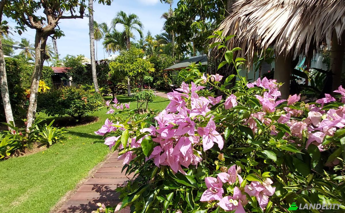 Hotel for Sale Benelux 1, Las Terrenas 32200, Las Terrenas, Samana Province, Dominican Republic. Photo 6